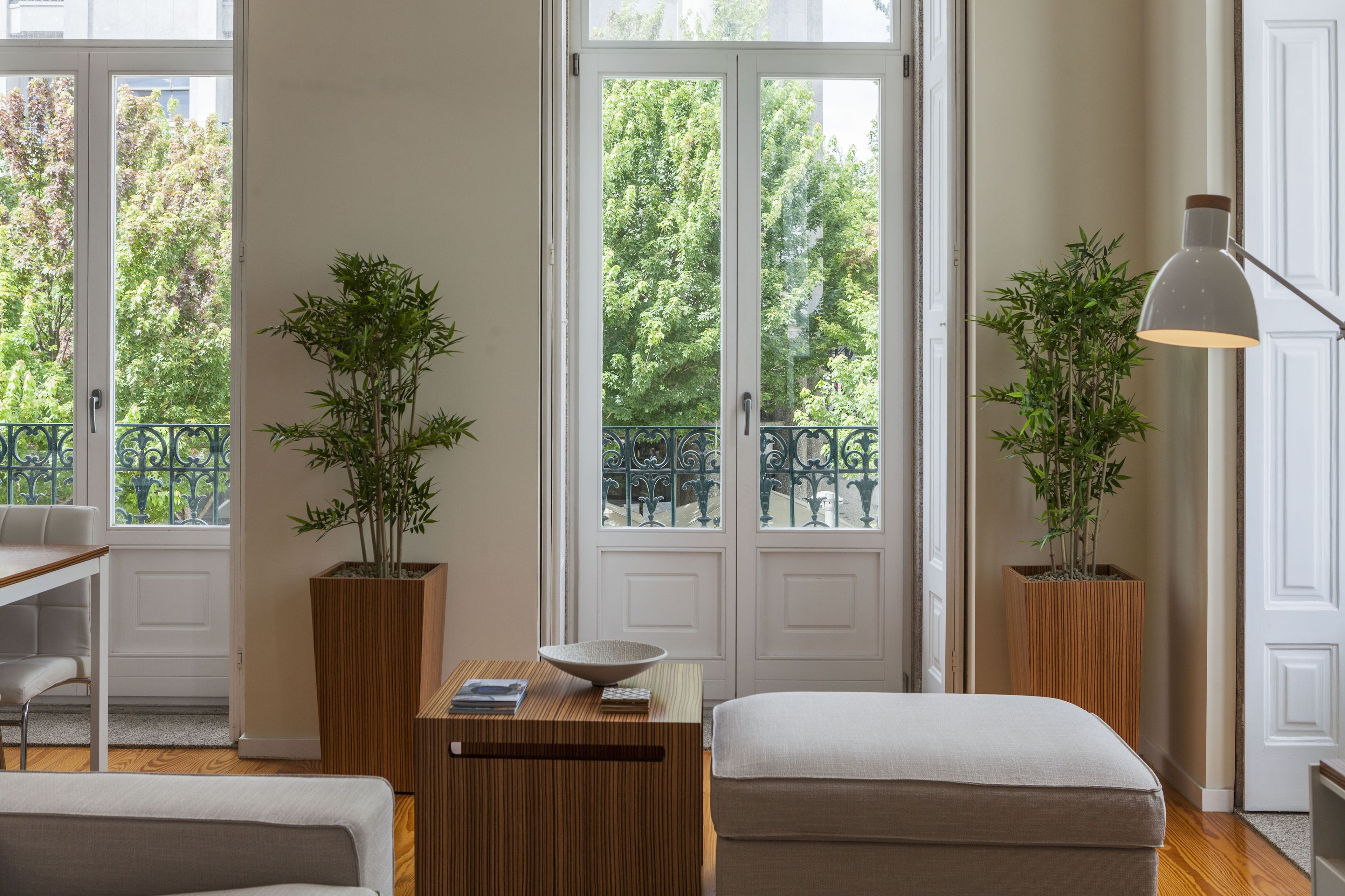 Deluxe Apartment, City View | View from room