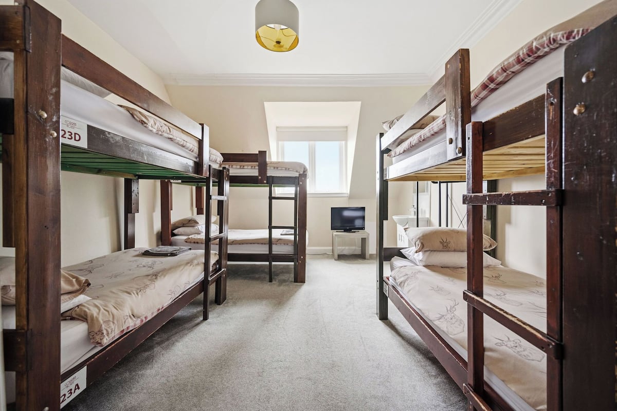A dormitory room with bunk beds, a television on a small table, and a window providing natural light.