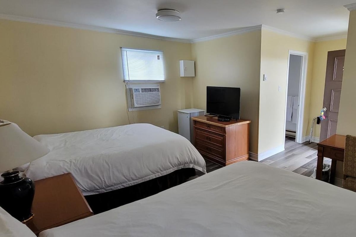Une chambre d’hôtel avec deux lits, une télévision, une commode et un bureau avec une chaise.