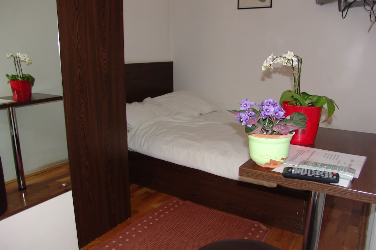 A bedroom with a bed, a desk with a plant, a remote control, and a red rug.