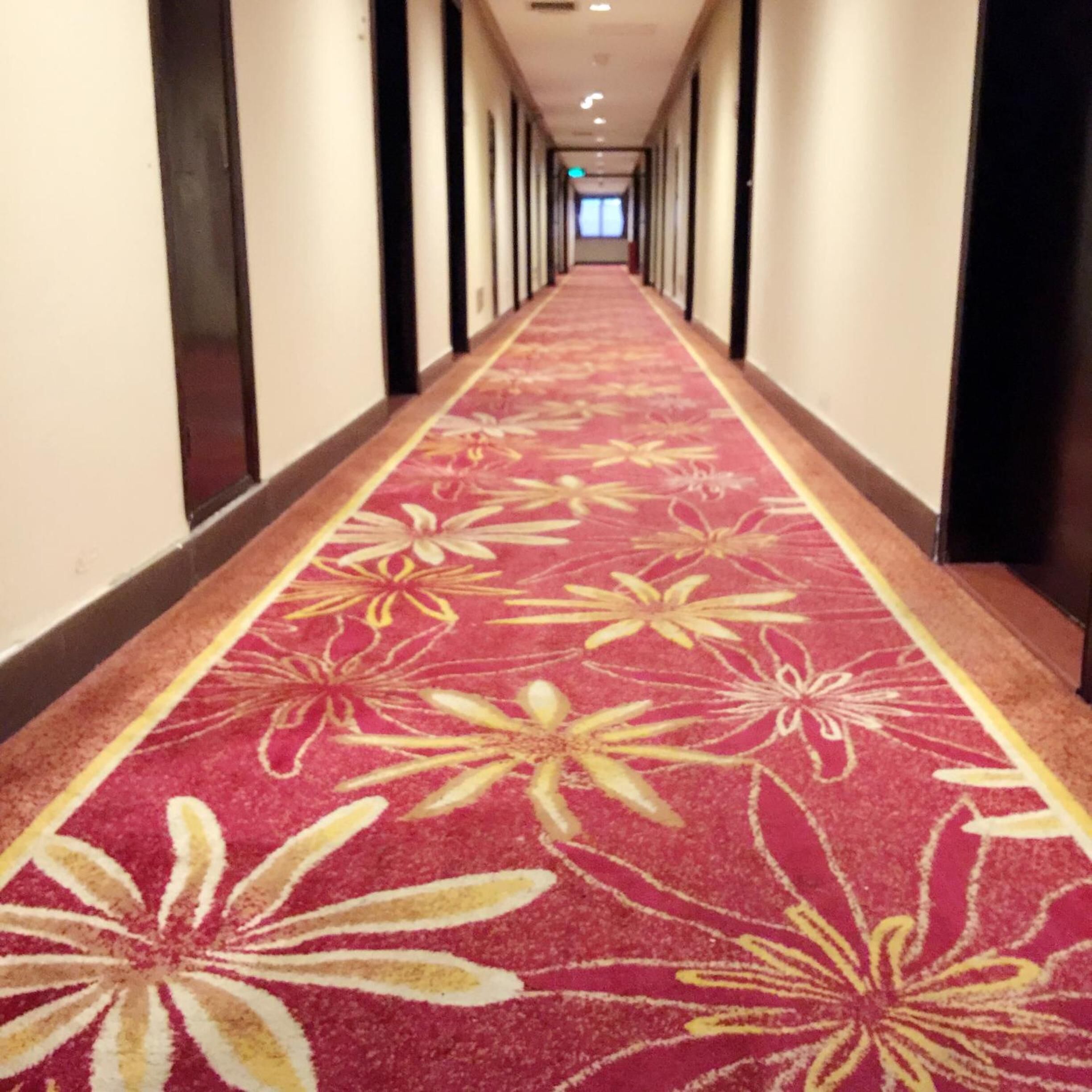 Foto - Guang Dong Hotel