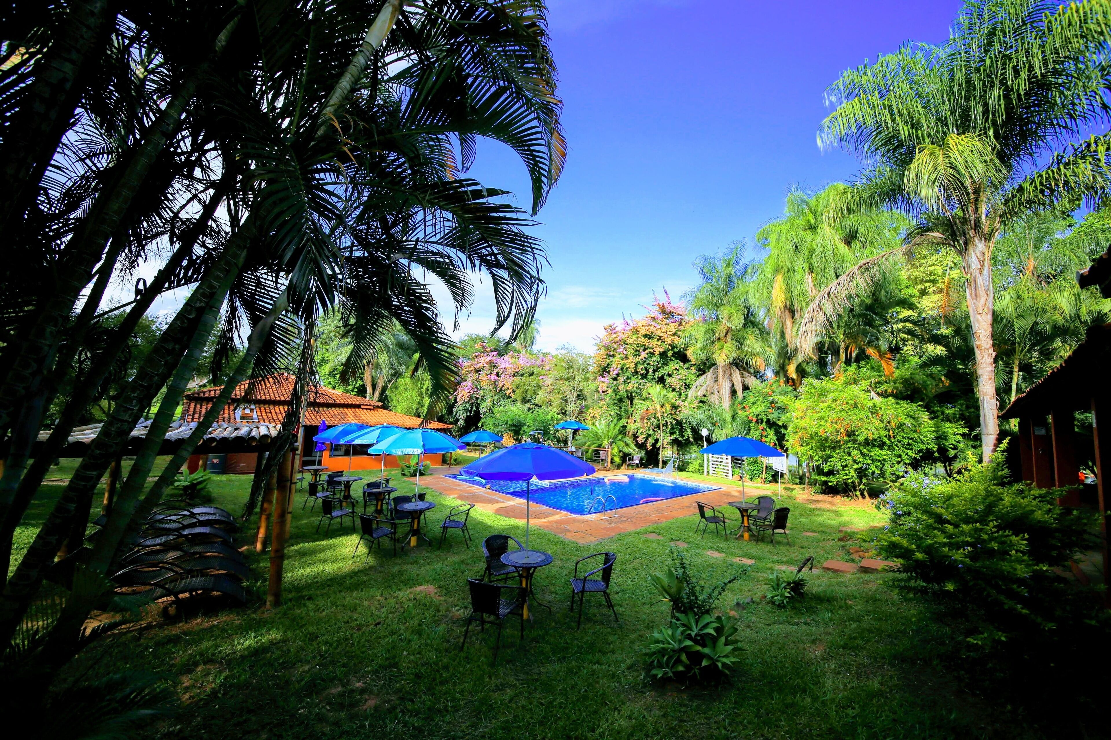 A pool area with blue umbrellas, surrounded by lush greenery and palm trees.