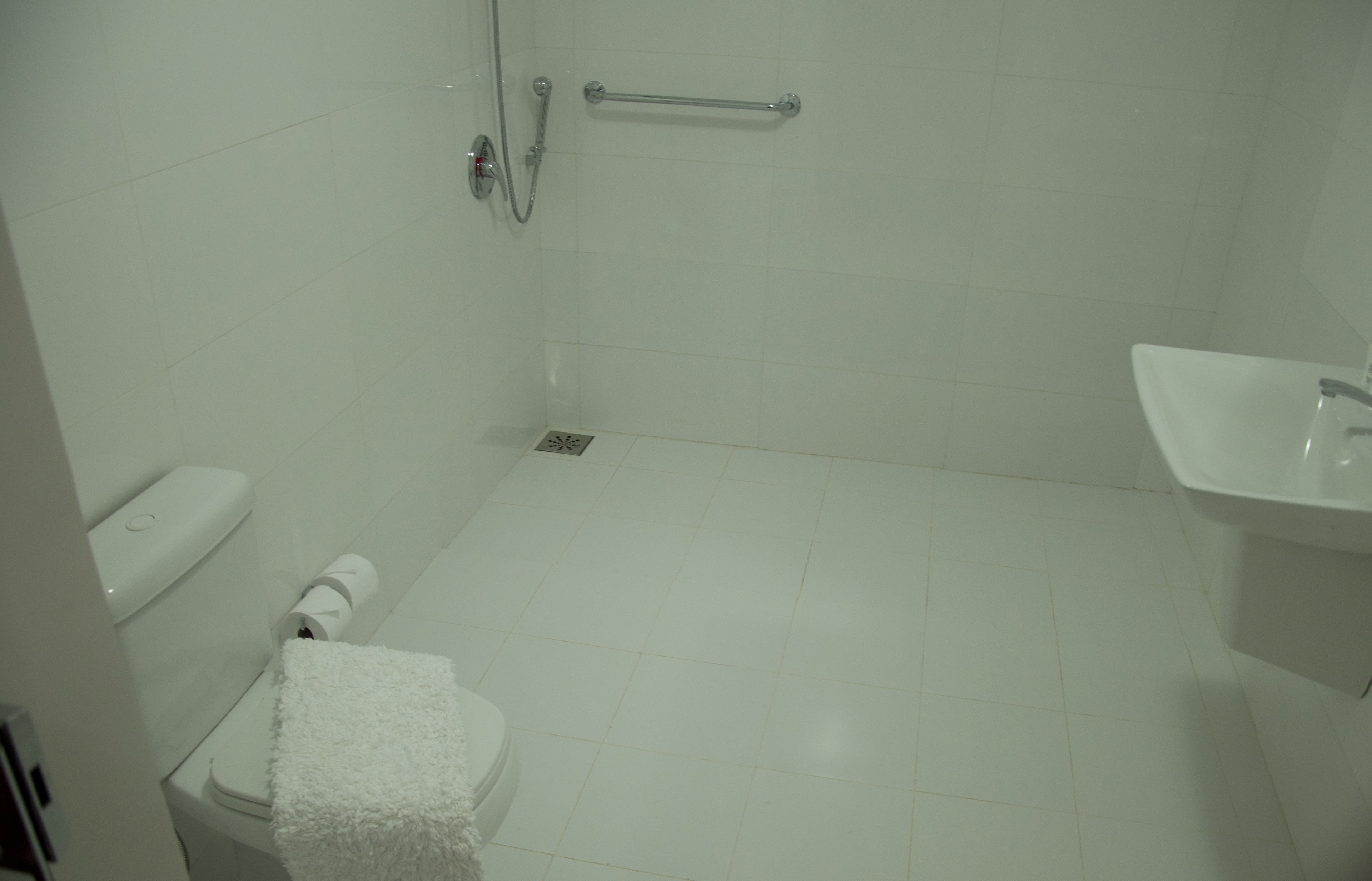 Et badeværelse med toilet, håndvask og bruseområde.