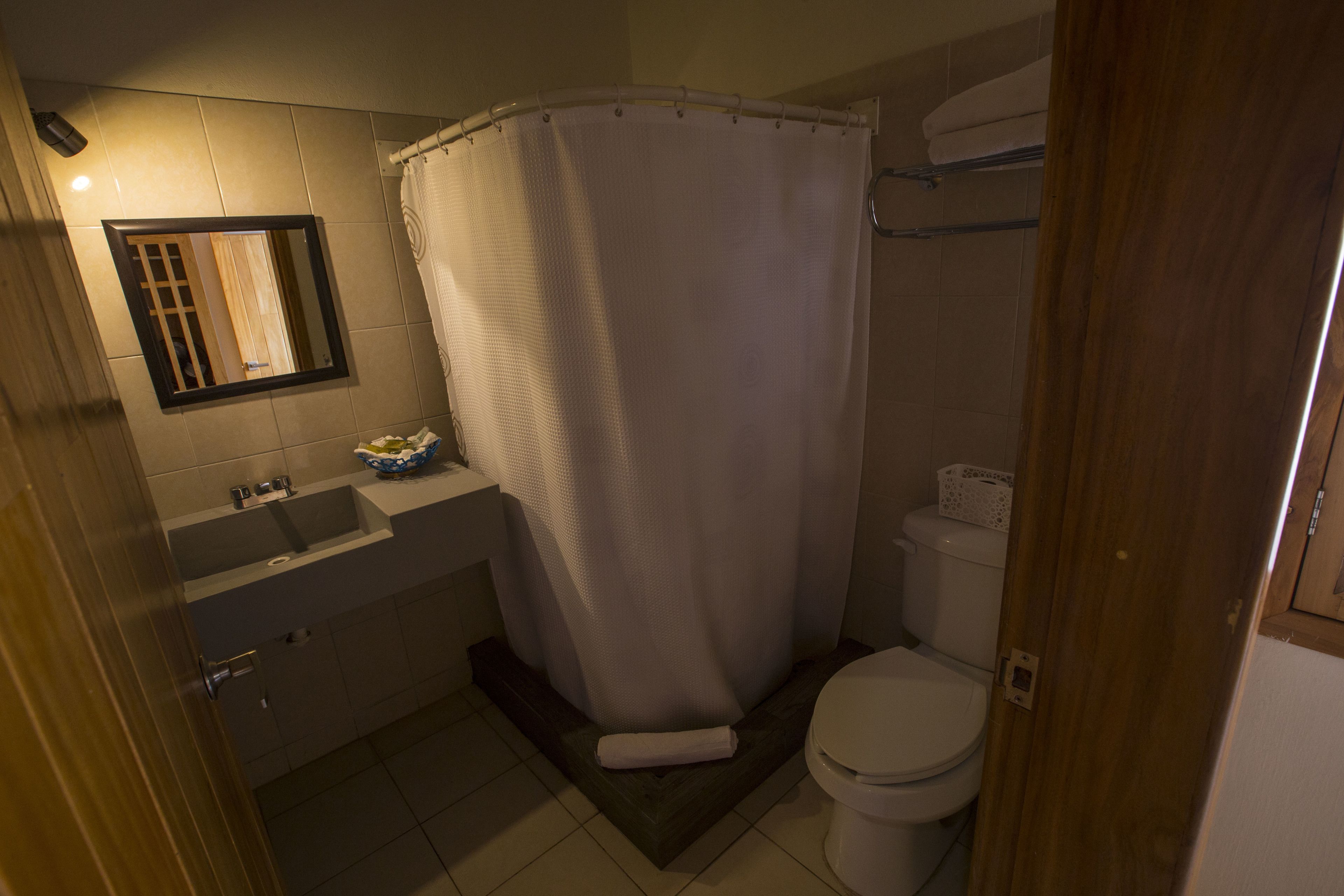 shower, free toiletries, towels