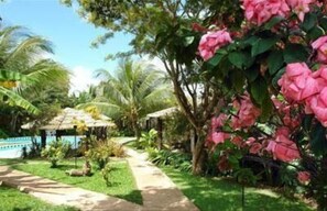 Un jardí amb un camí, palmeres i flors roses.