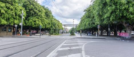 Una calle con vías de tranvía, árboles y un paso de peatones.