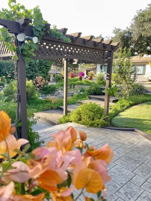 Tuin