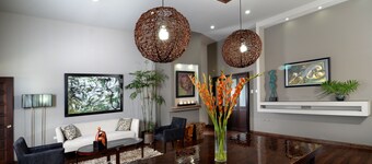 New Kingston Apartment at The Palms