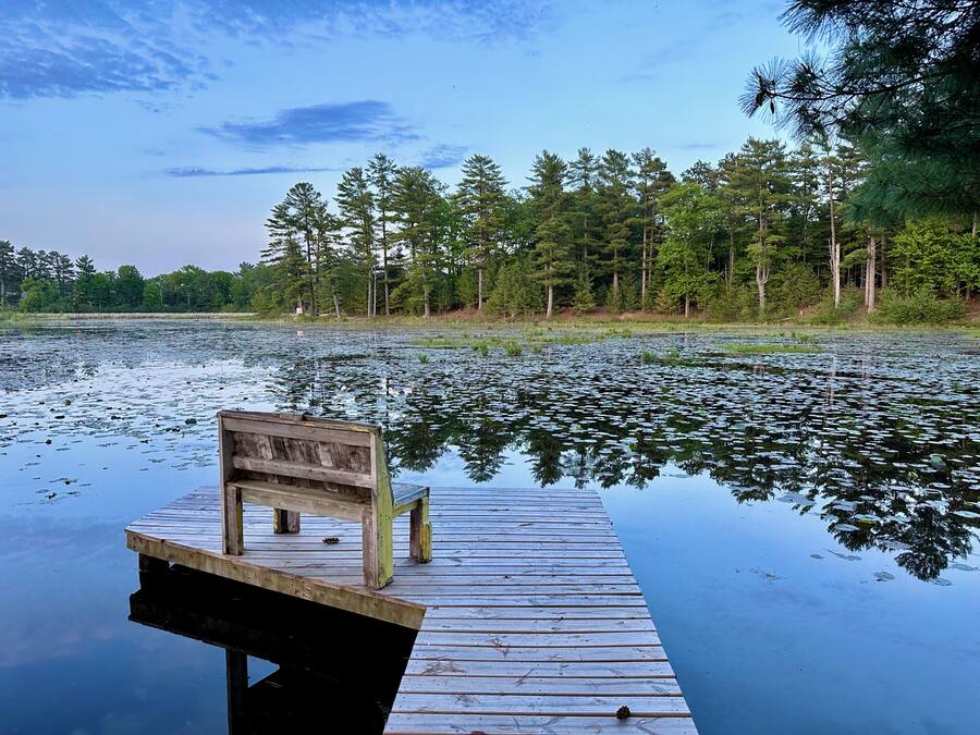 A wooden dock extending into a calm lake with a bench at the end.