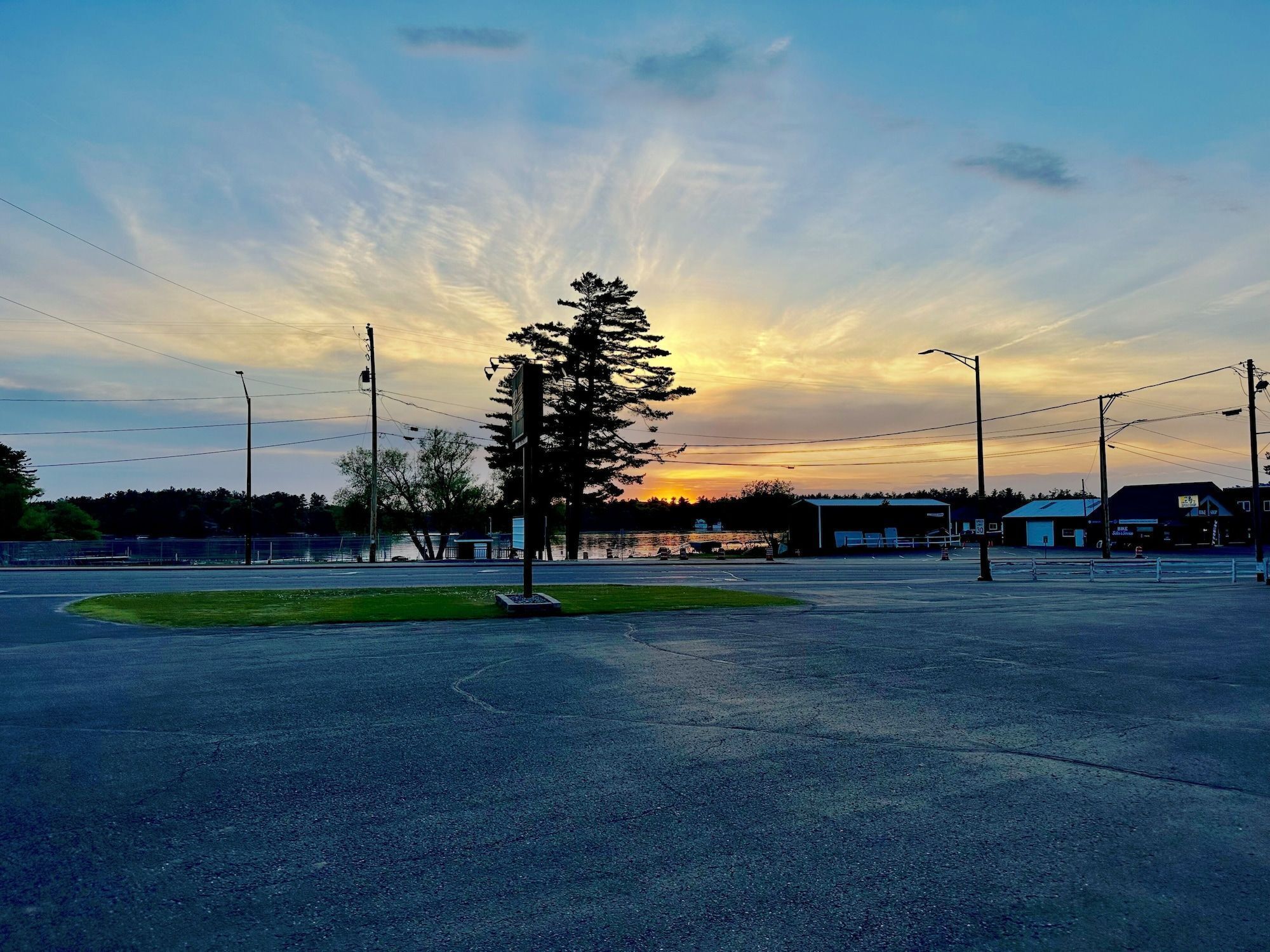 A parking lot with a large tree in the center, surrounded by buildings and a sunset in the background.