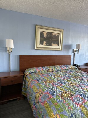 Iron/ironing board, rollaway beds, free WiFi - Executive Inn (West Columbia)