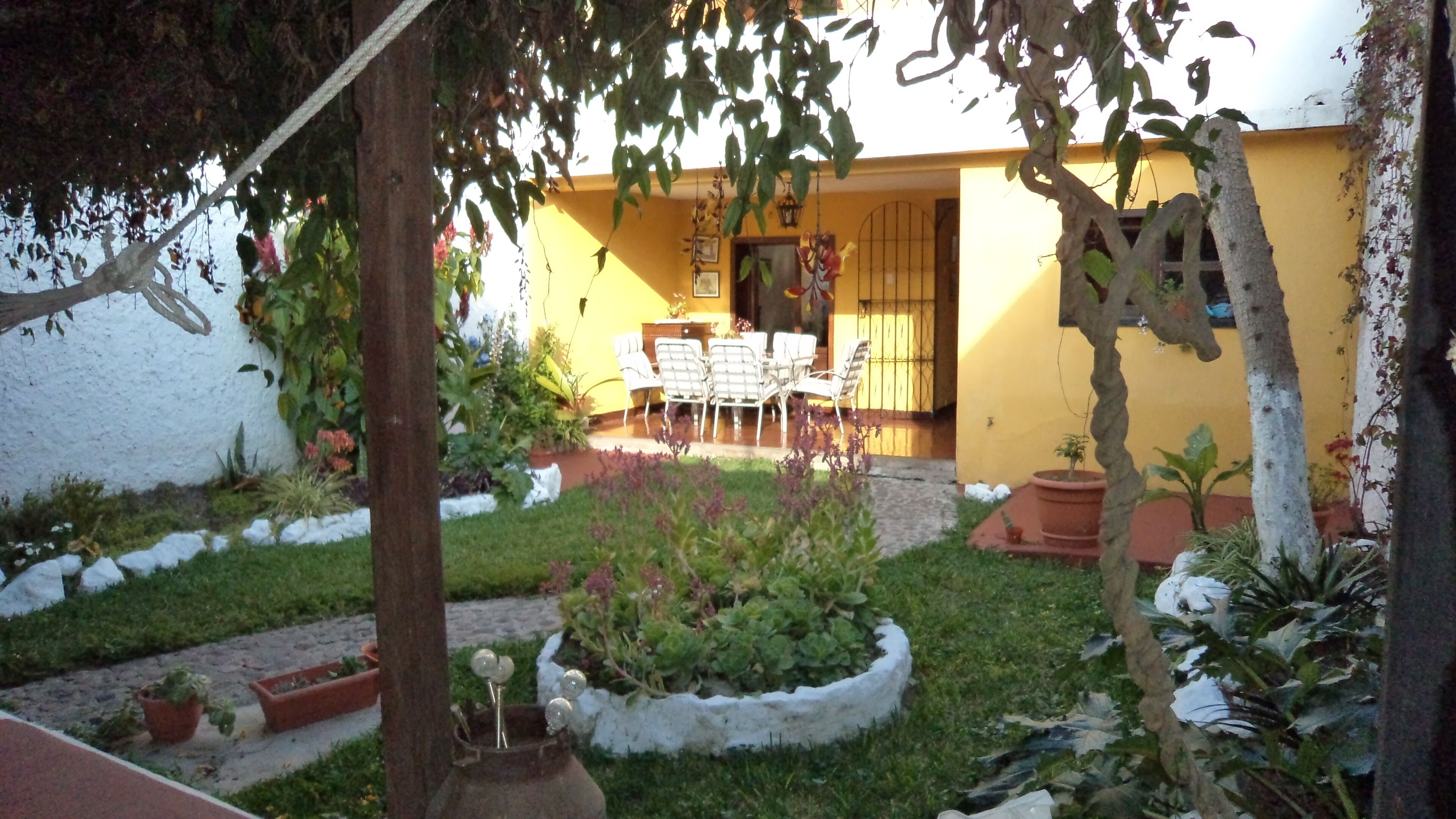 A courtyard with a yellow building, a white wall, and a garden with various plants and a white chair.