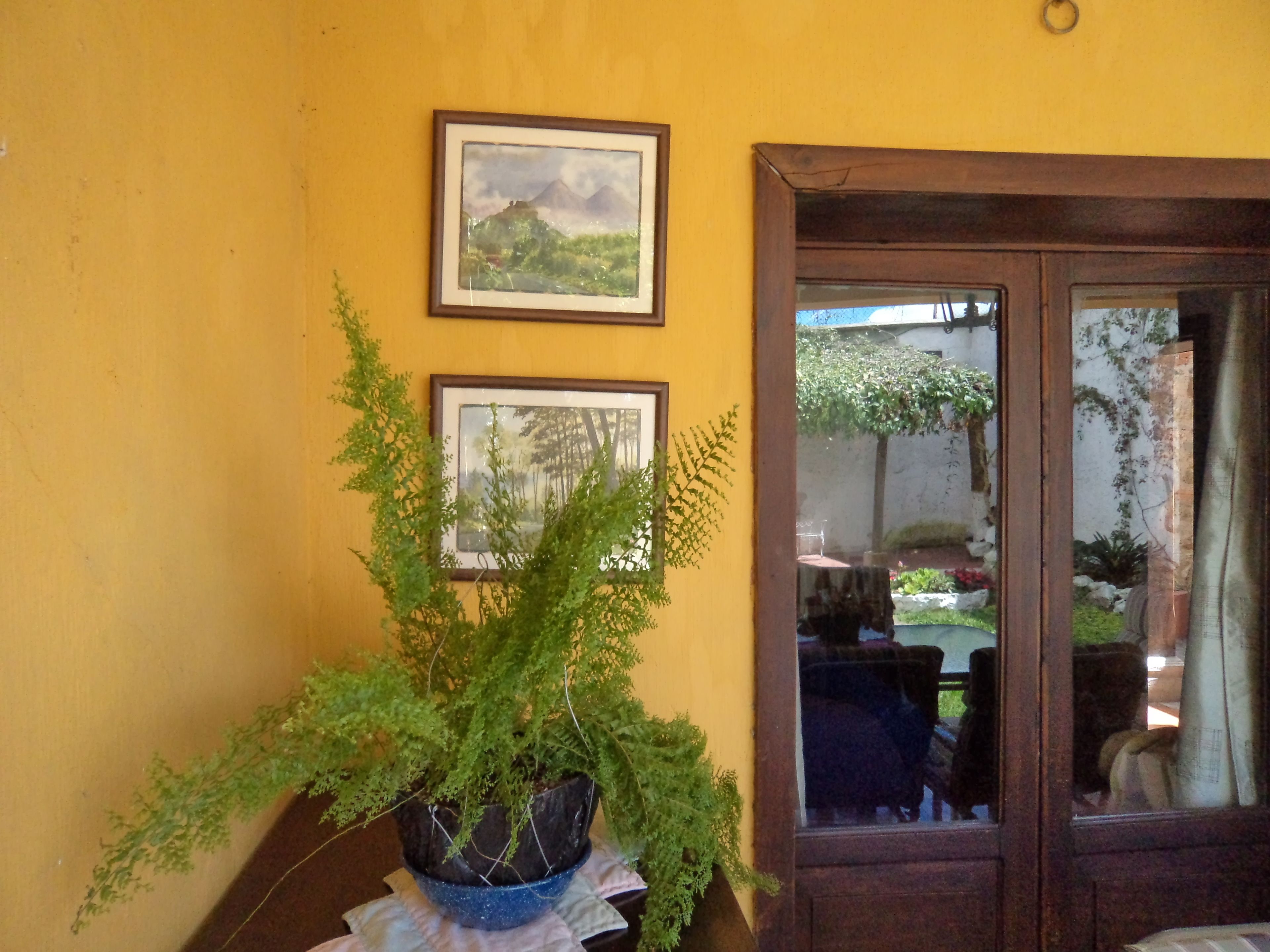 economy room, private external bathroom | view from room