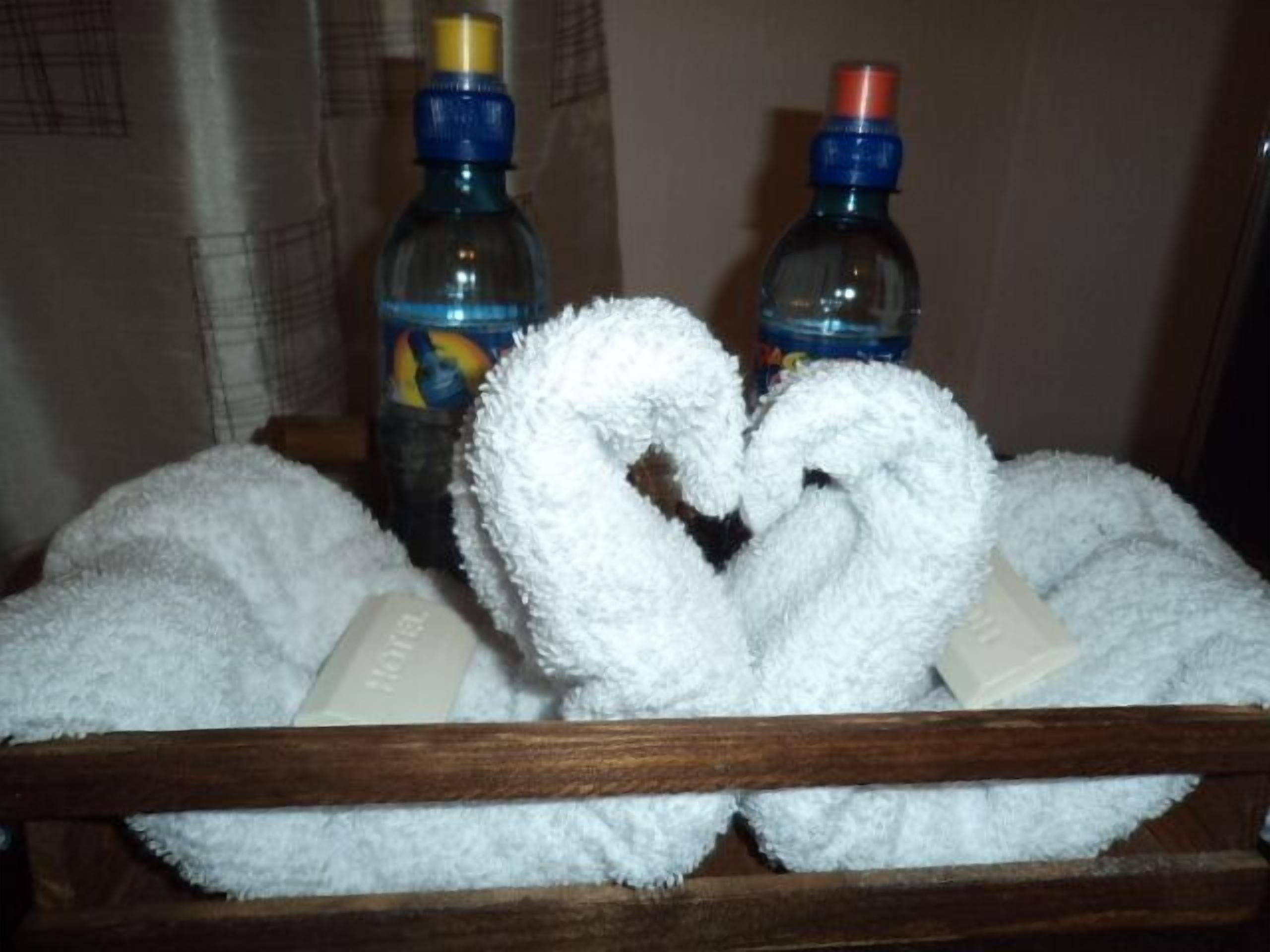 economy room, private external bathroom | bathroom amenities | free toiletries, hair dryer, towels