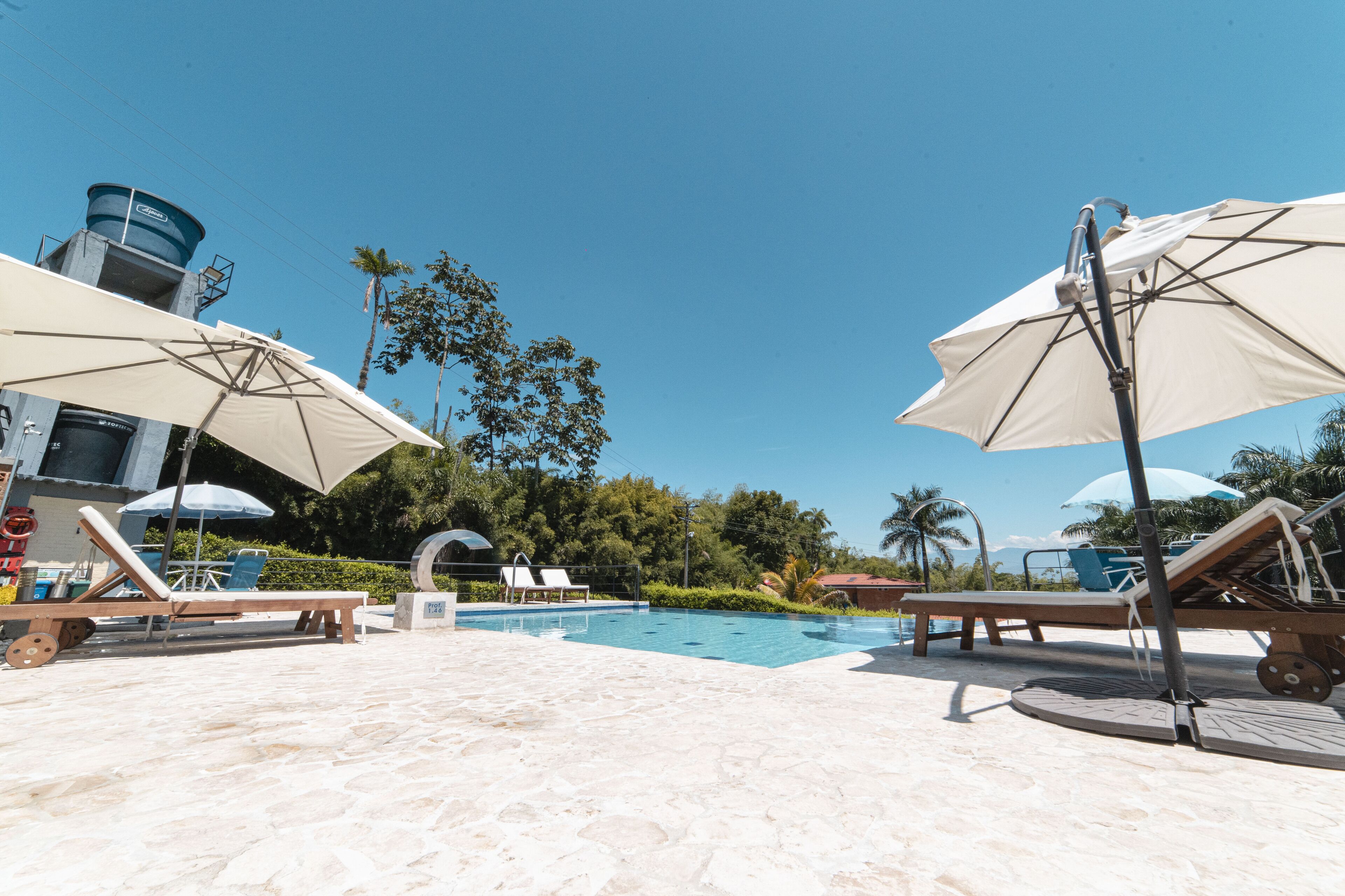 Zona de piscina con sillones de descanso y sombrillas, rodeada de palmeras y un cielo despejado.