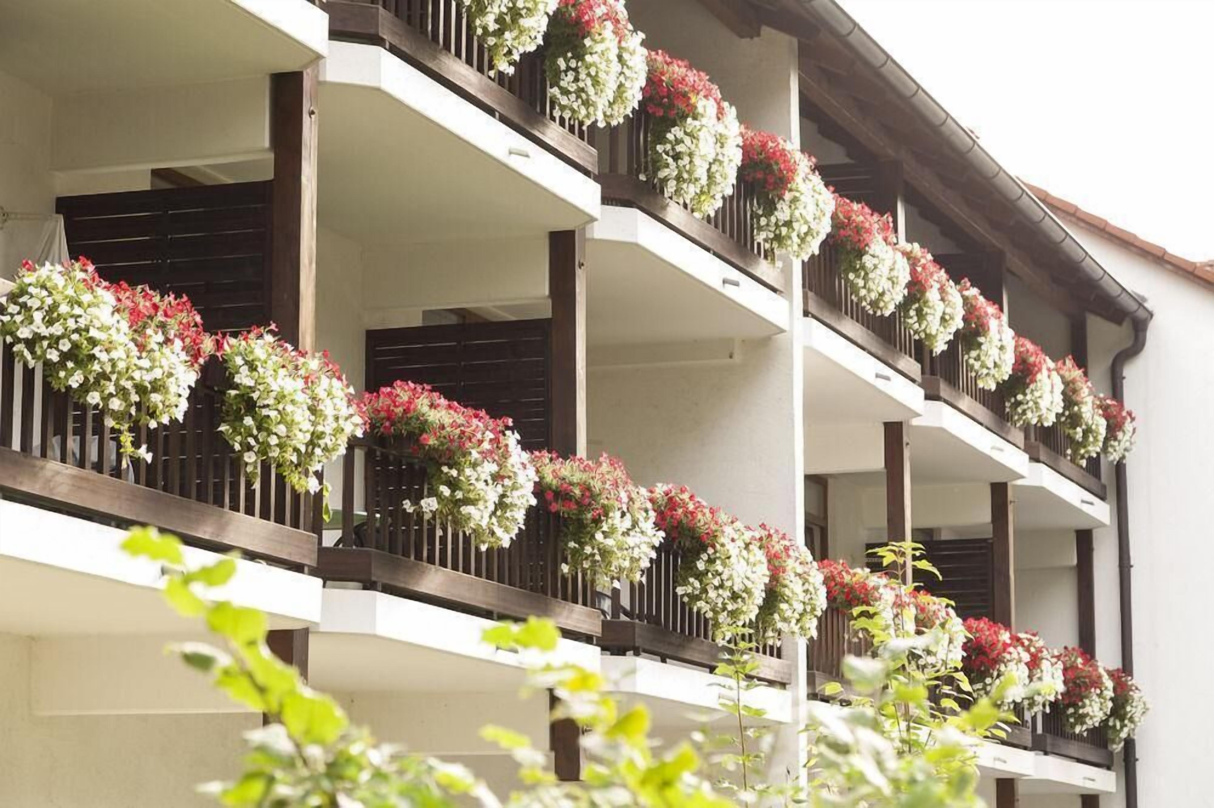 Näkymä majoituspaikasta