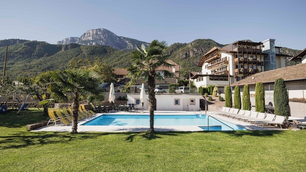 A pool area with lounge chairs, a palm tree, and a mountain backdrop. - Hotel Stamserhof (Andriano)