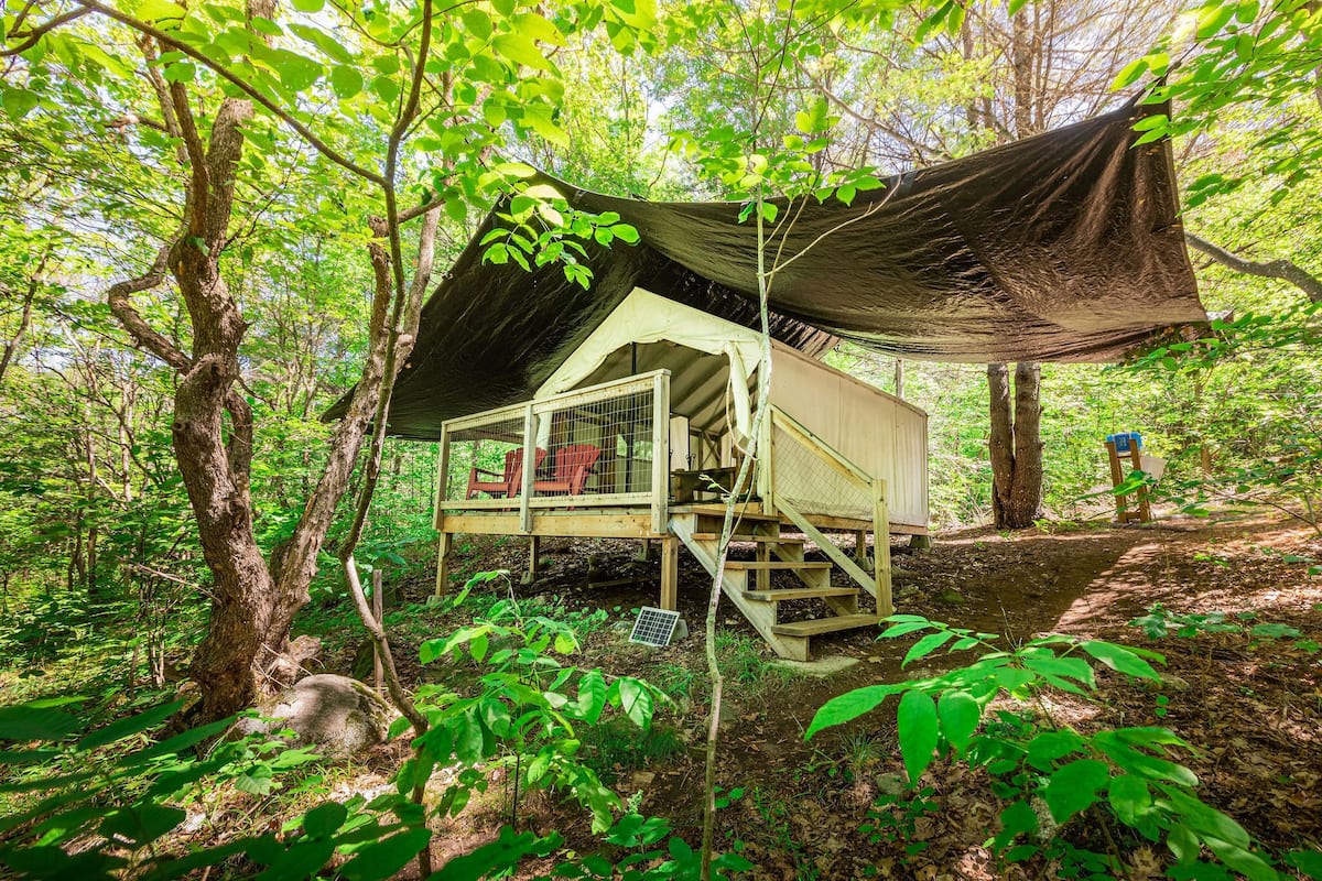 A treehouse with a wooden deck and a canopy.