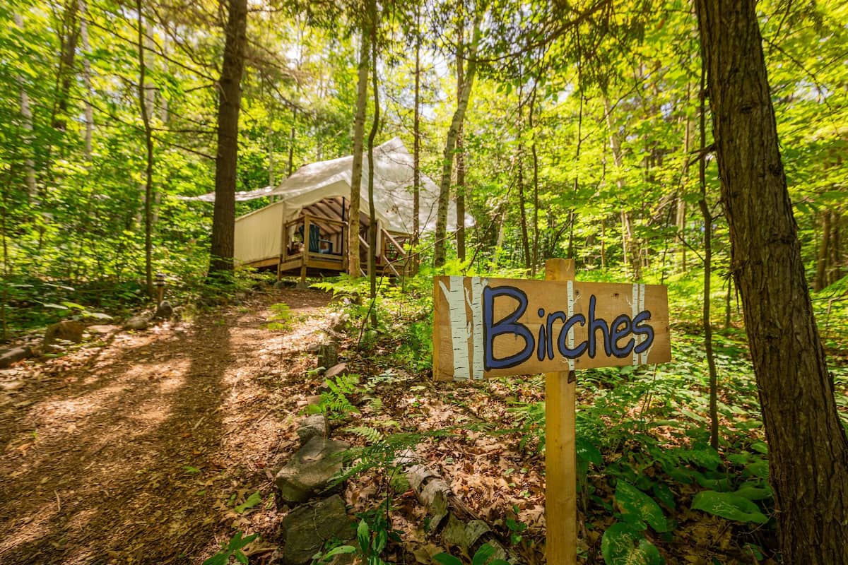A forested area with a wooden sign labeled "Birches" and a small cabin-like structure in the background.