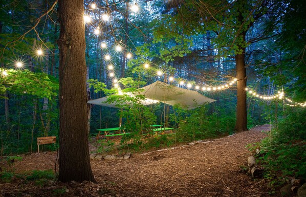 A forested area with string lights, a canopy, and picnic tables.