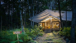 Una cabaña acogedora de una sola habitación en un bosque, con un sendero despejado que la lleva a ella.