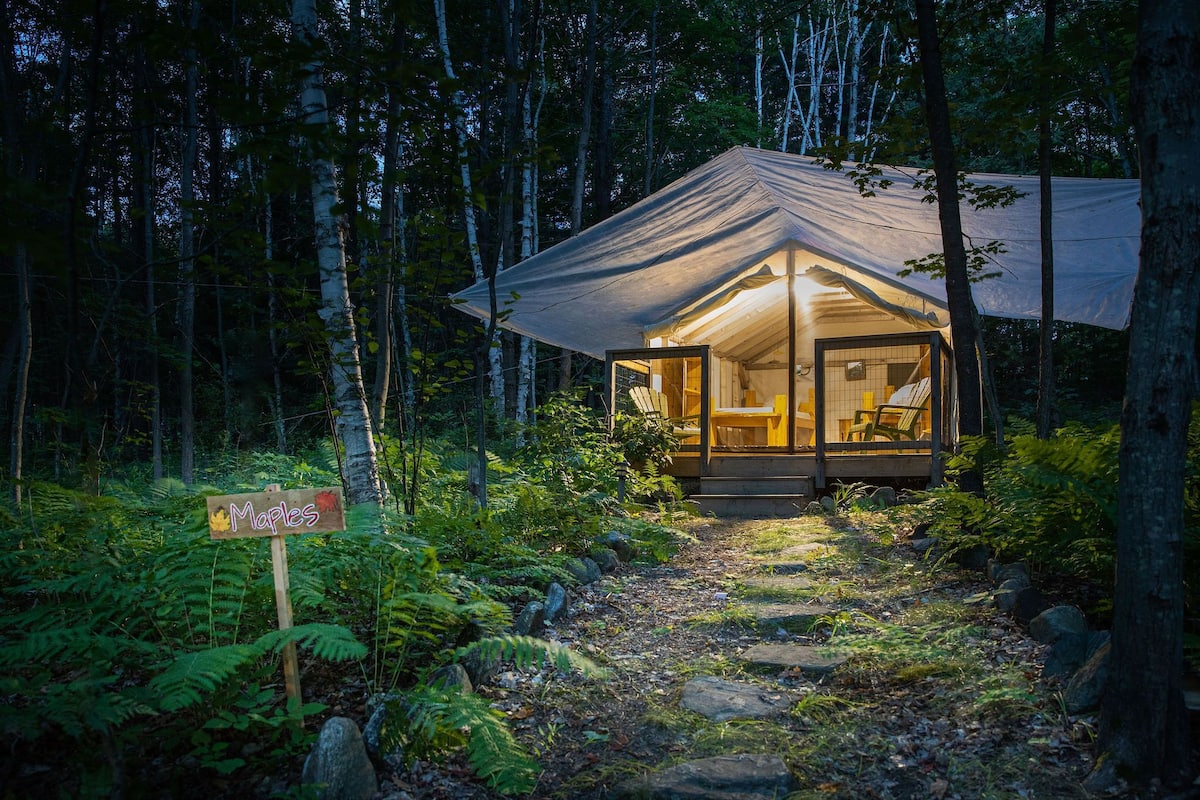 A cozy, single-room cabin in a forest with a clear path leading to it.
