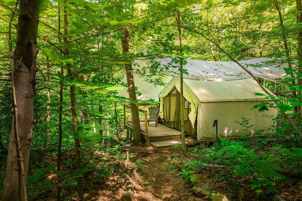 A forested campsite with a single tent, a wooden deck, and a stone pathway.