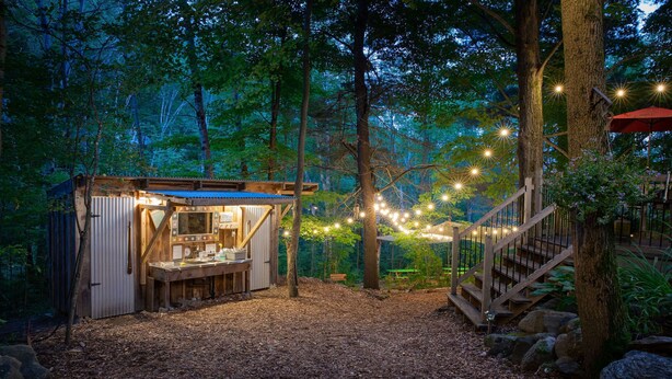 Una cabaña rústica de madera con una pequeña cocina, rodeada de un bosque.