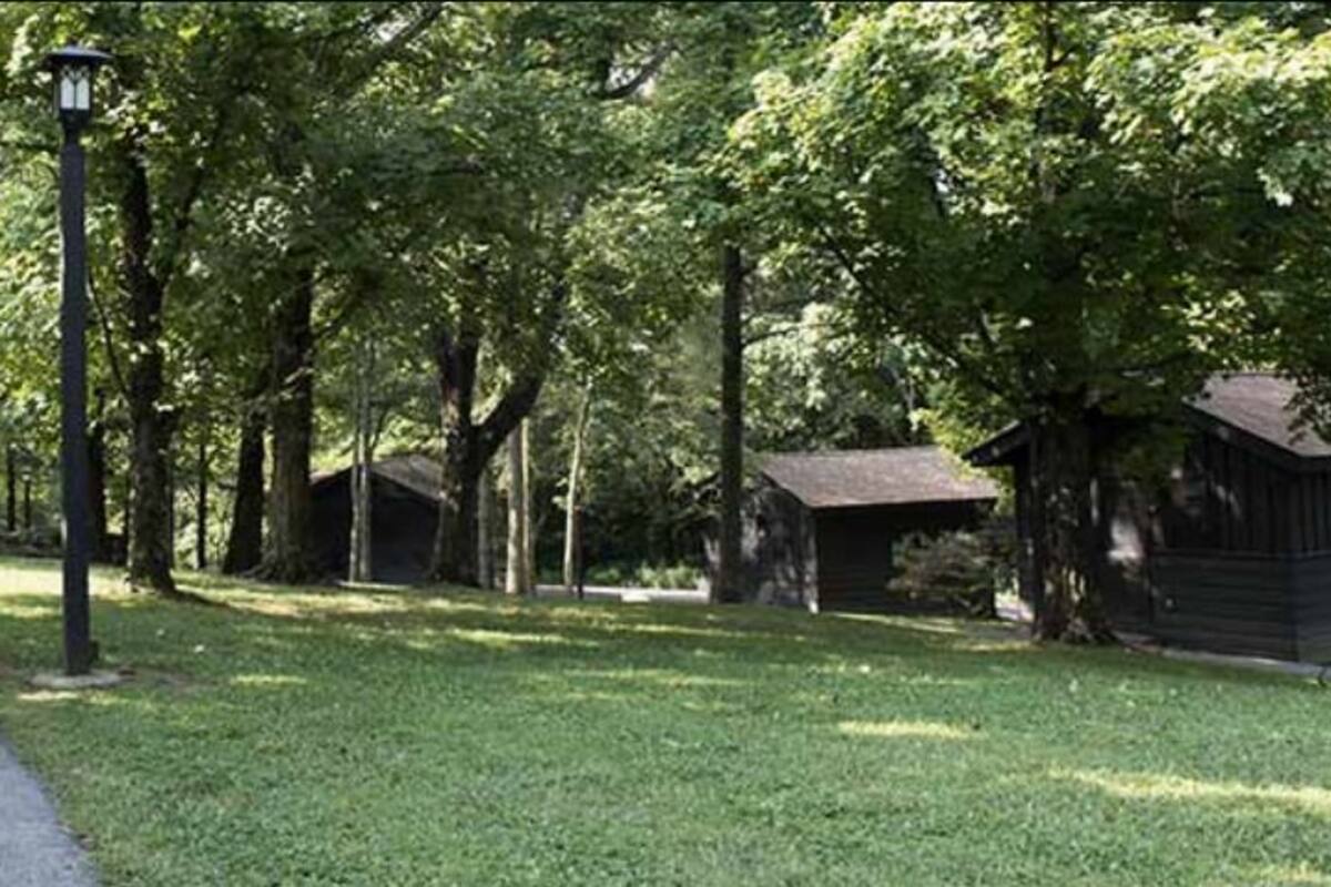 A pathway leading to wooden cabins surrounded by trees.
