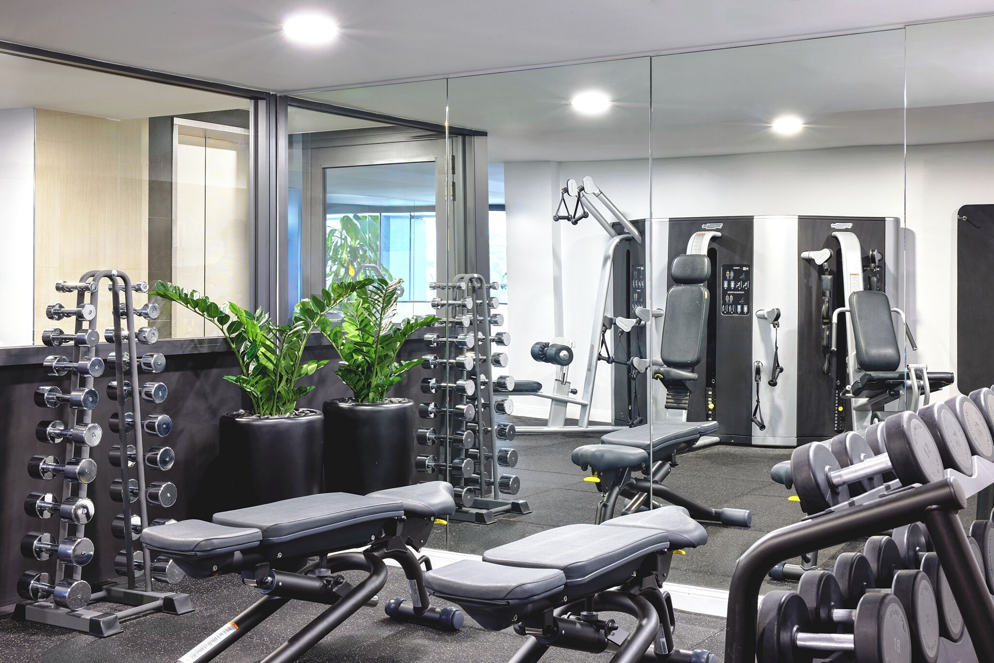 Un gimnasio moderno con equipamiento de levantamiento de pesas, bancos y un espejo.
