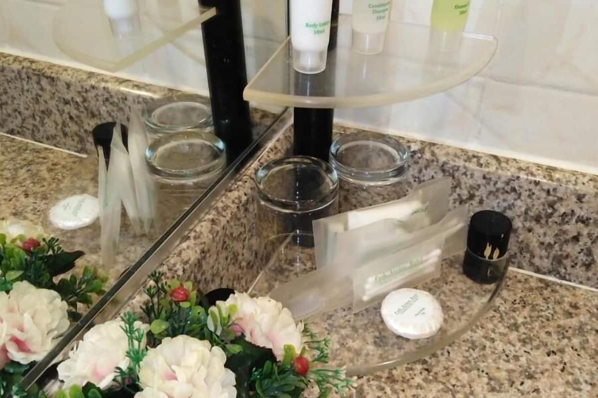 shower, free toiletries, slippers, bidet