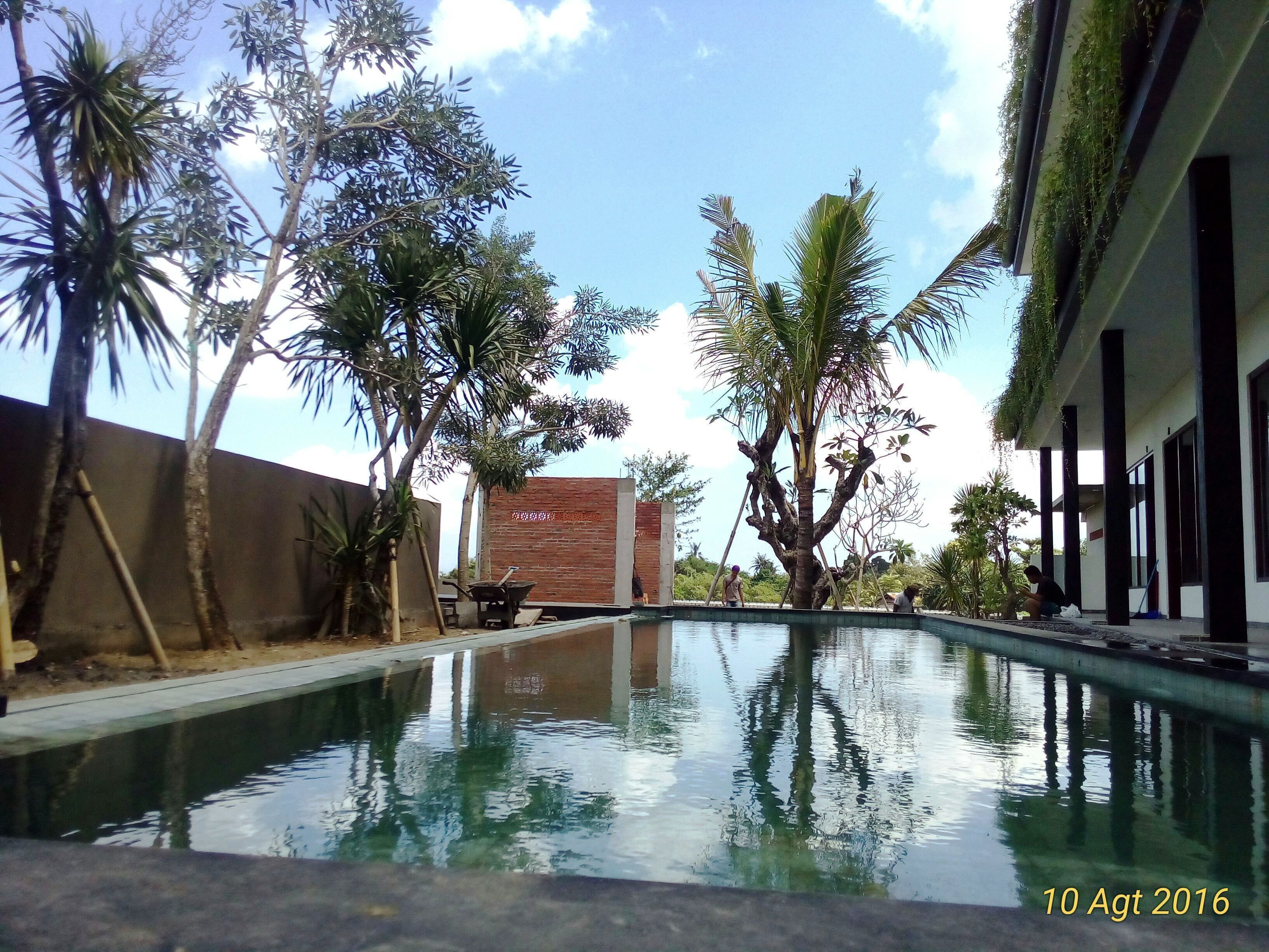 Outdoor pool, a natural pool