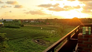 Campos de arroz en terrazas, una escalera de ladrillo y una vista distante de casas.
