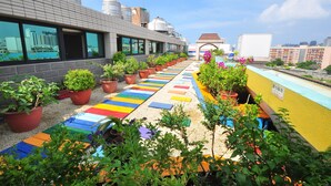 A rooftop terrace with a colorful pathway, potted plants, and a view of the cityscape. - Young Soarlan Boutique Hotel (Tainan)