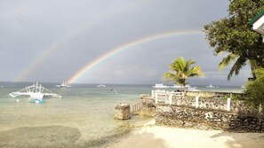 A beach with a stone wall, a palm tree, and boats in the water. - Love S Beach And Dive Resort (Moalboal)