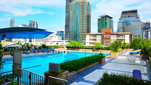 A rooftop swimming pool with sun loungers, surrounded by greenery and modern buildings in the background.