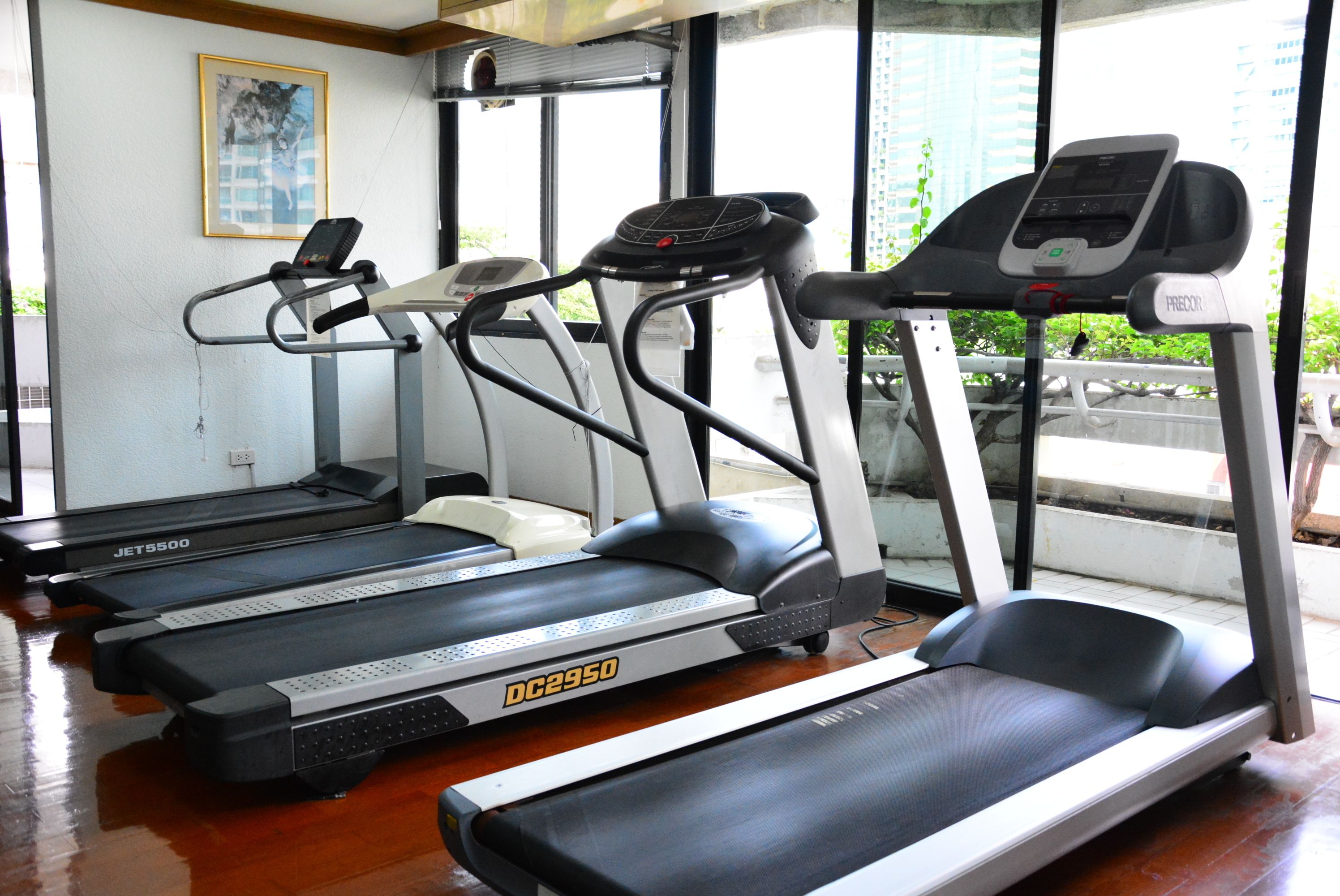 A gym with treadmills and exercise equipment.