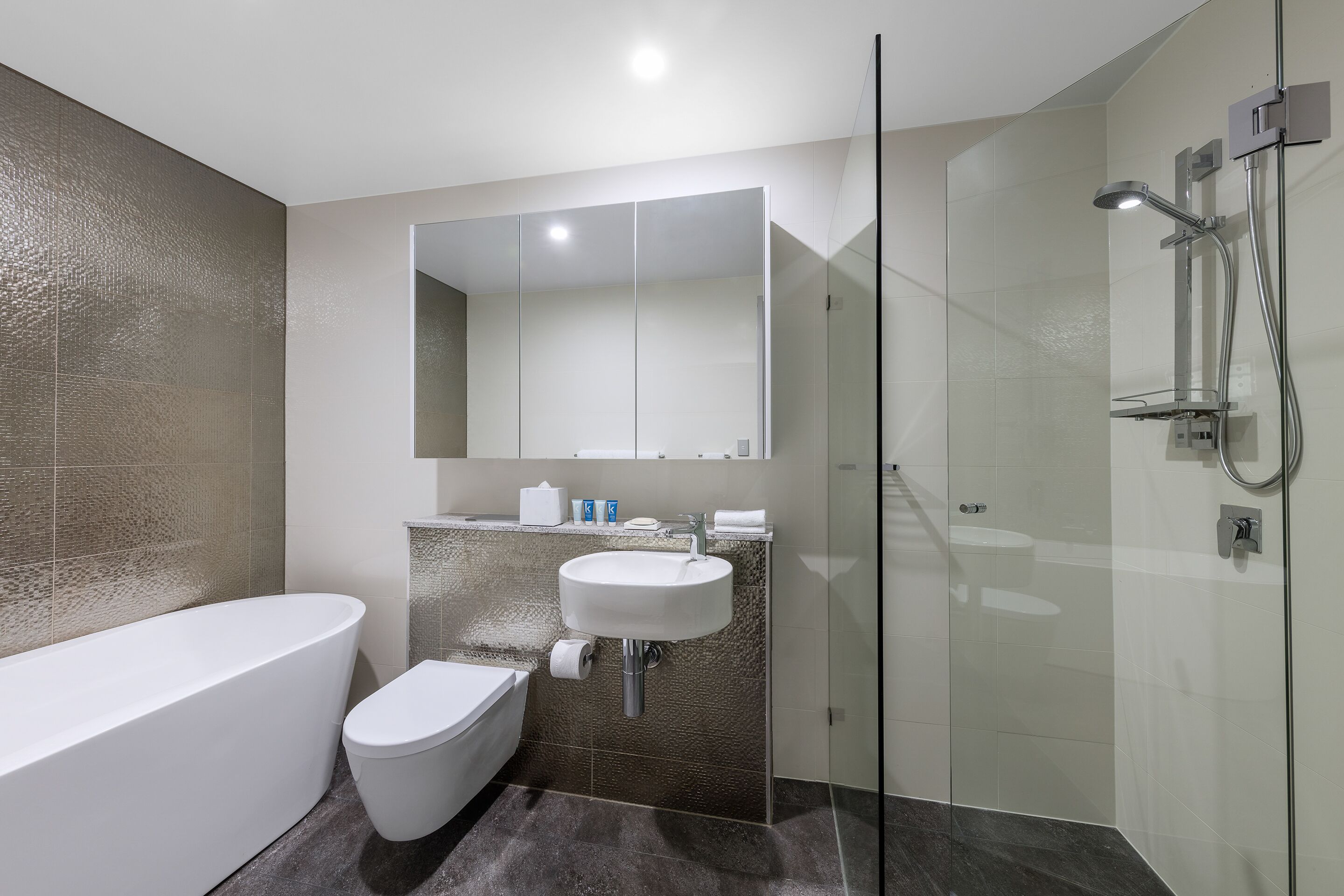 Une salle de bain moderne avec une baignoire sur pieds, une douche à parois de verre et un meuble-lavabo avec un miroir.