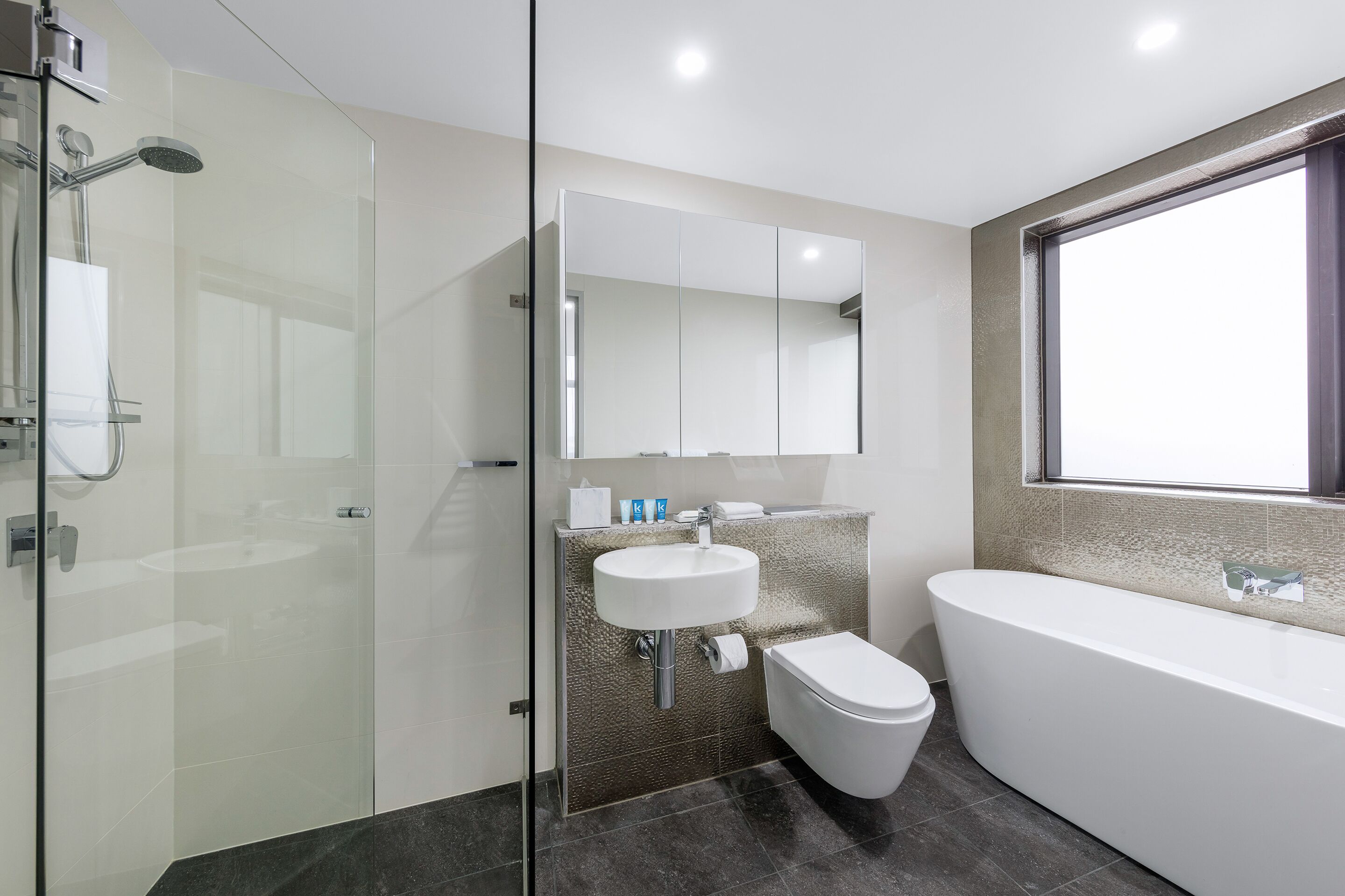 Une salle de bain moderne avec une douche à parois de verre, une baignoire sur pieds, un lavabo fixé au mur et des toilettes.