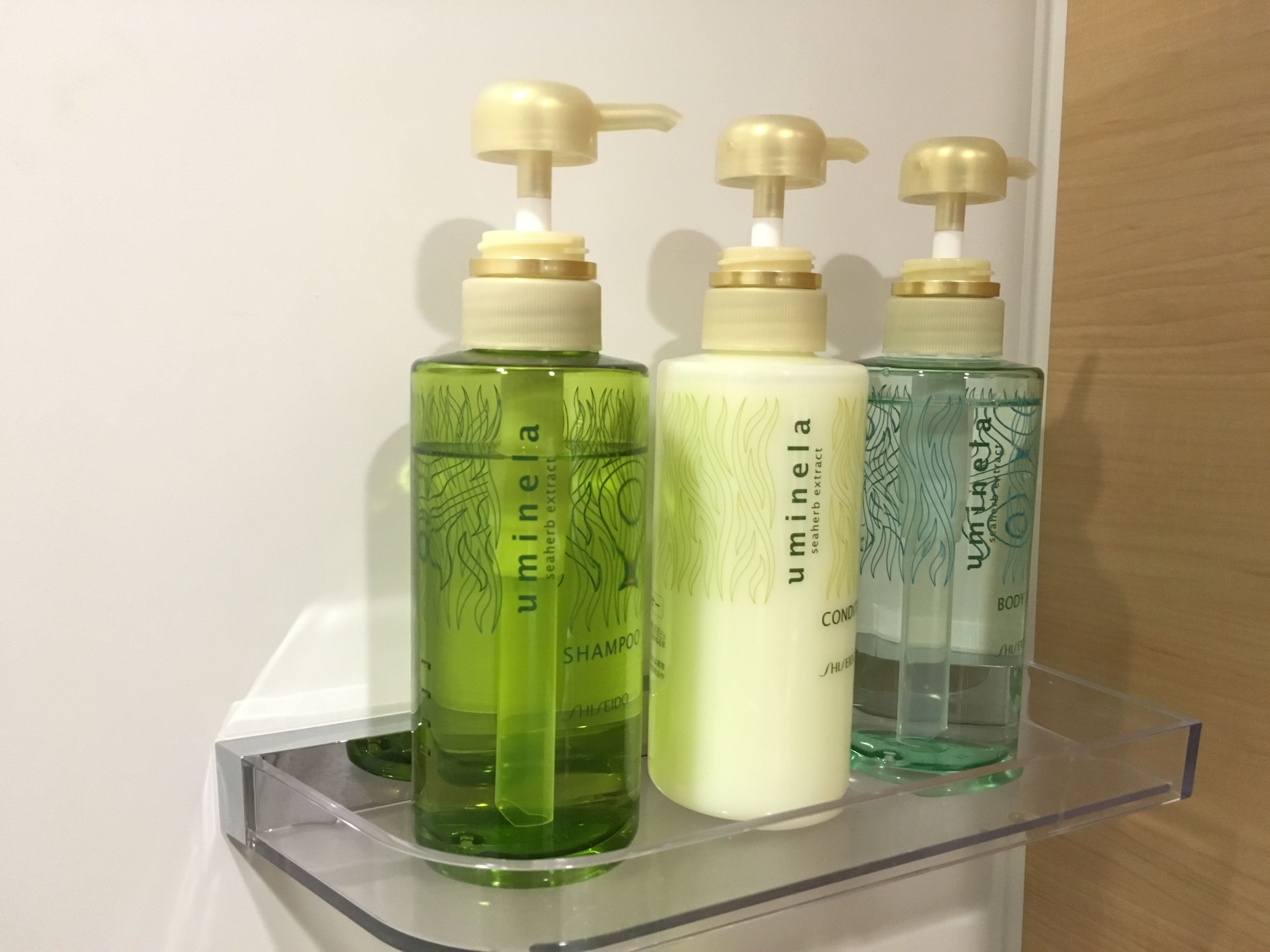 free toiletries, hair dryer, slippers, bidet