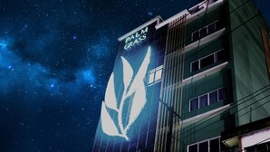 A building with a large illuminated palm tree logo and the text "PALM GRASS" on the facade.