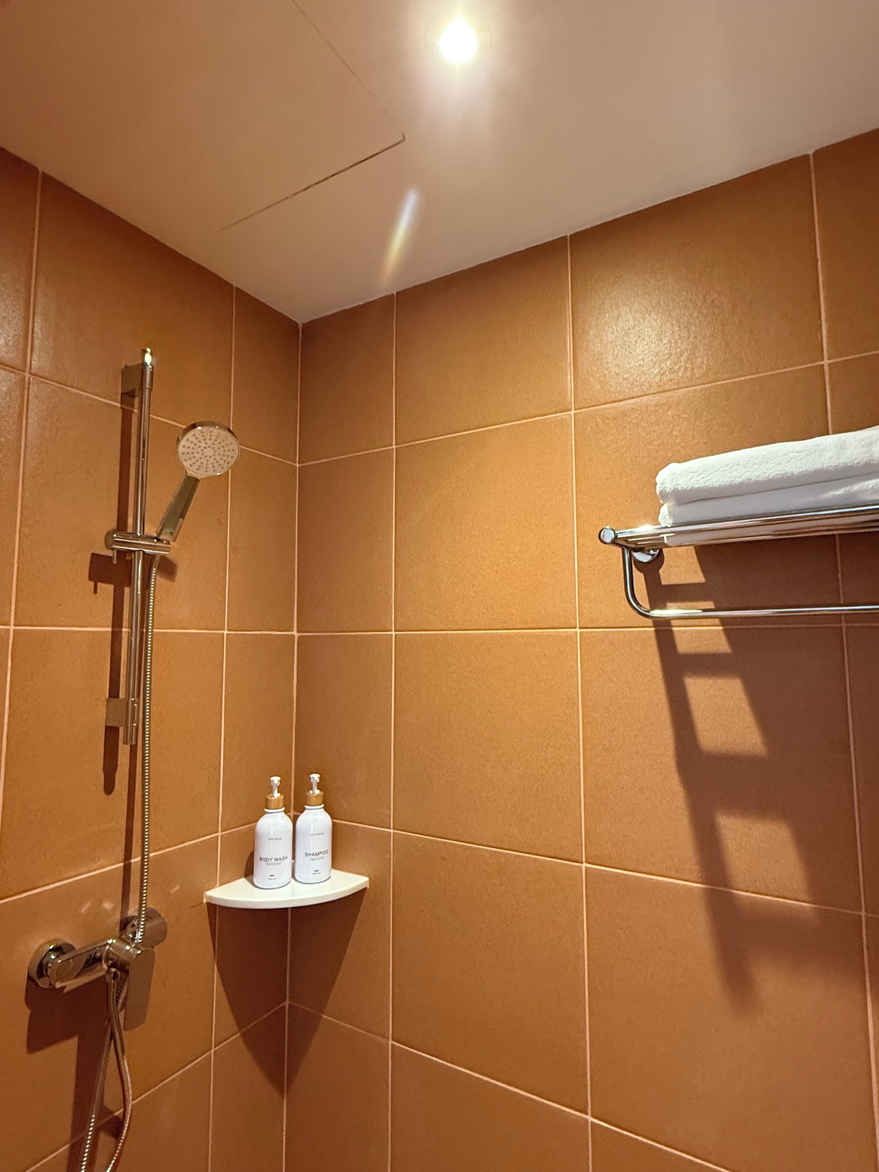 shower, rainfall showerhead, free toiletries, hair dryer