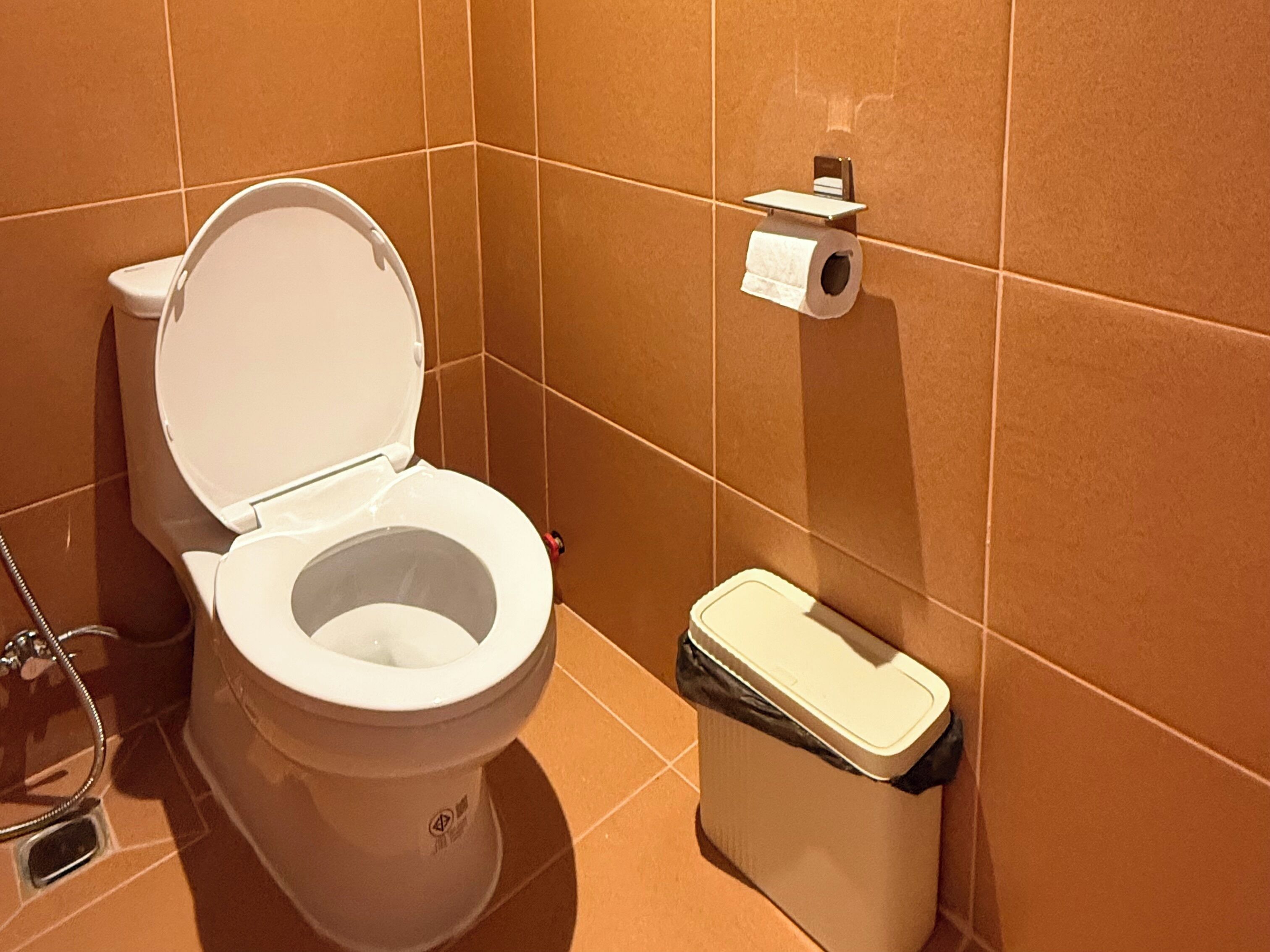 twin room | bathroom | shower, rainfall showerhead, free toiletries, hair dryer