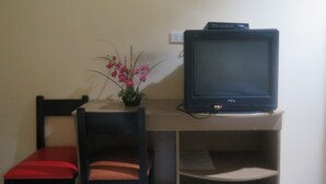 Un téléviseur posé sur un meuble, une chaise avec un coussin rouge et une plante en pot avec des fleurs roses.