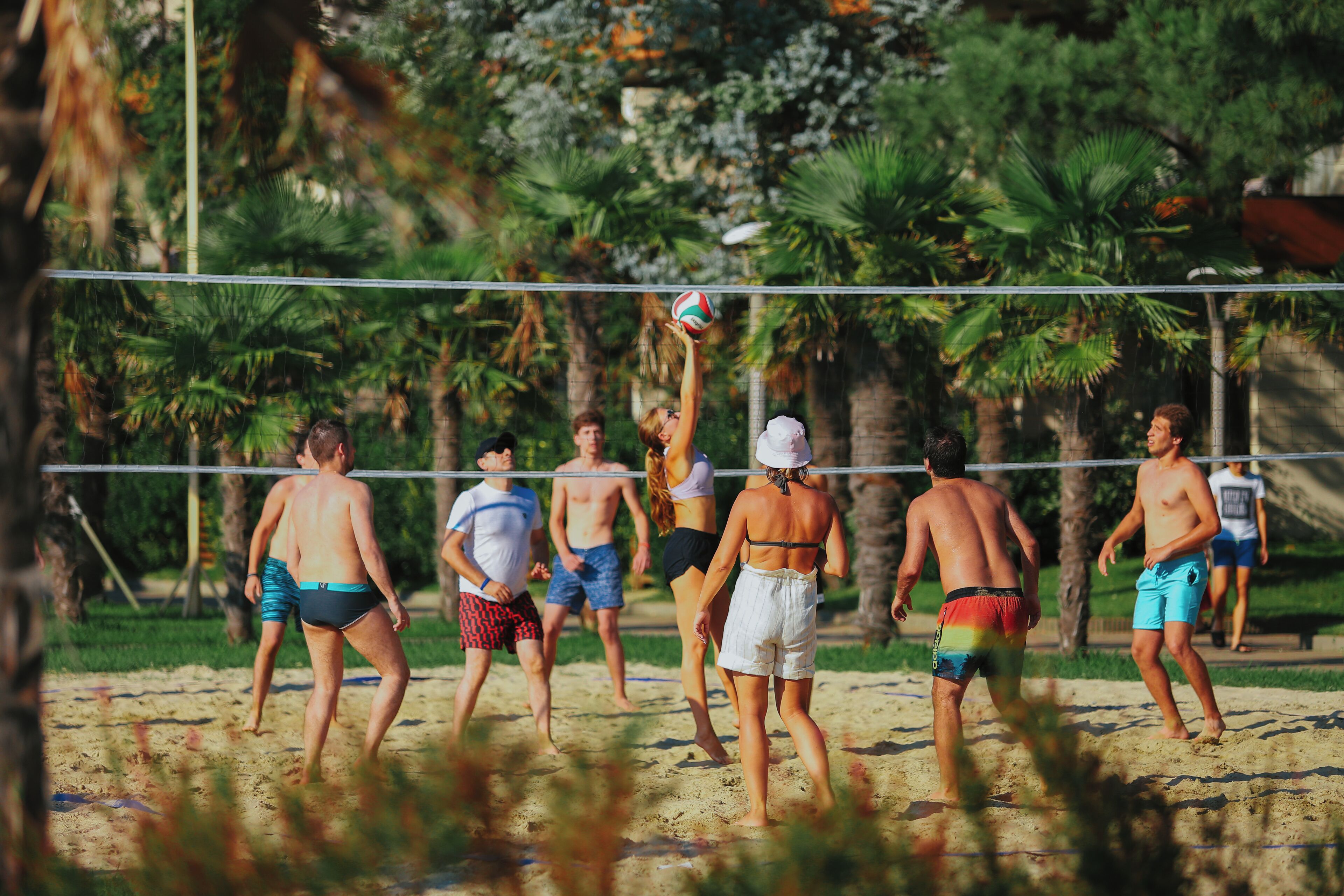 A group of people playing beach volleyball on a sandy court surrounded by palm trees.