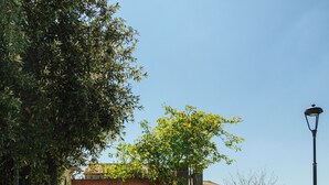A sign for Borgo Santa Cecilia with a gravel path leading to it, surrounded by greenery and a clear sky.