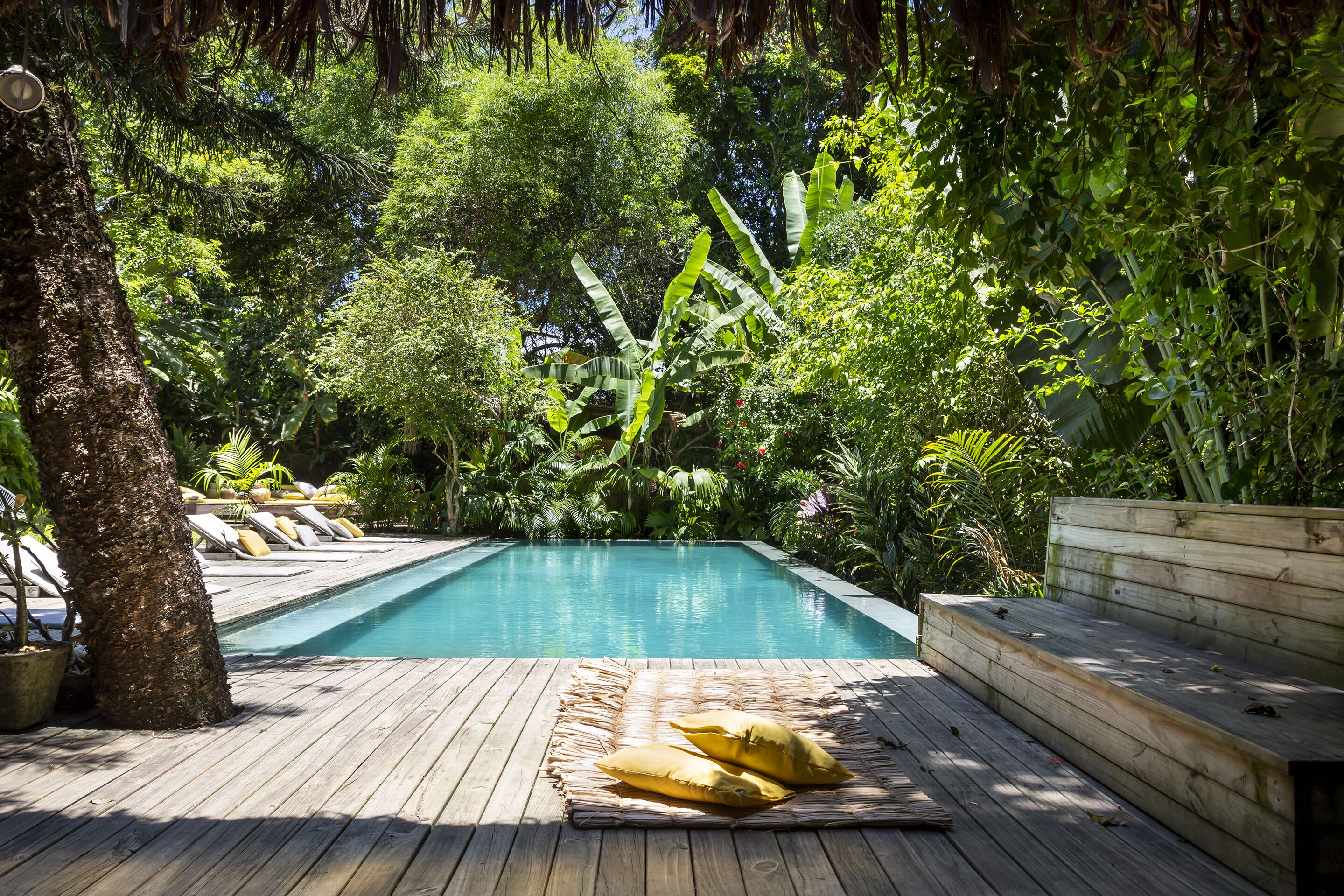 Outdoor pool, sun loungers