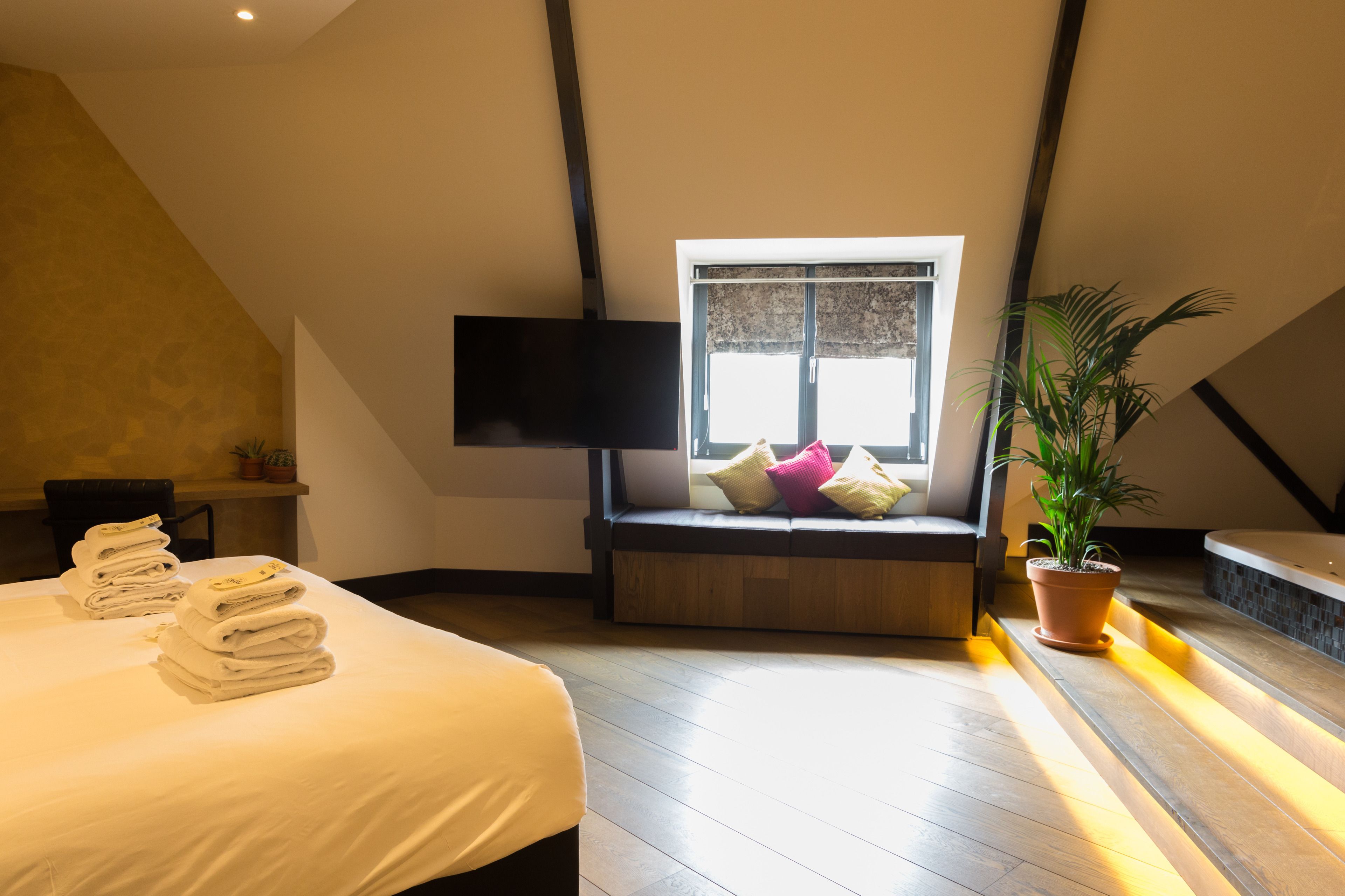 Una habitación de hotel con cama, un asiento junto a la ventana con cojines, un televisor de pantalla plana y una planta en maceta.