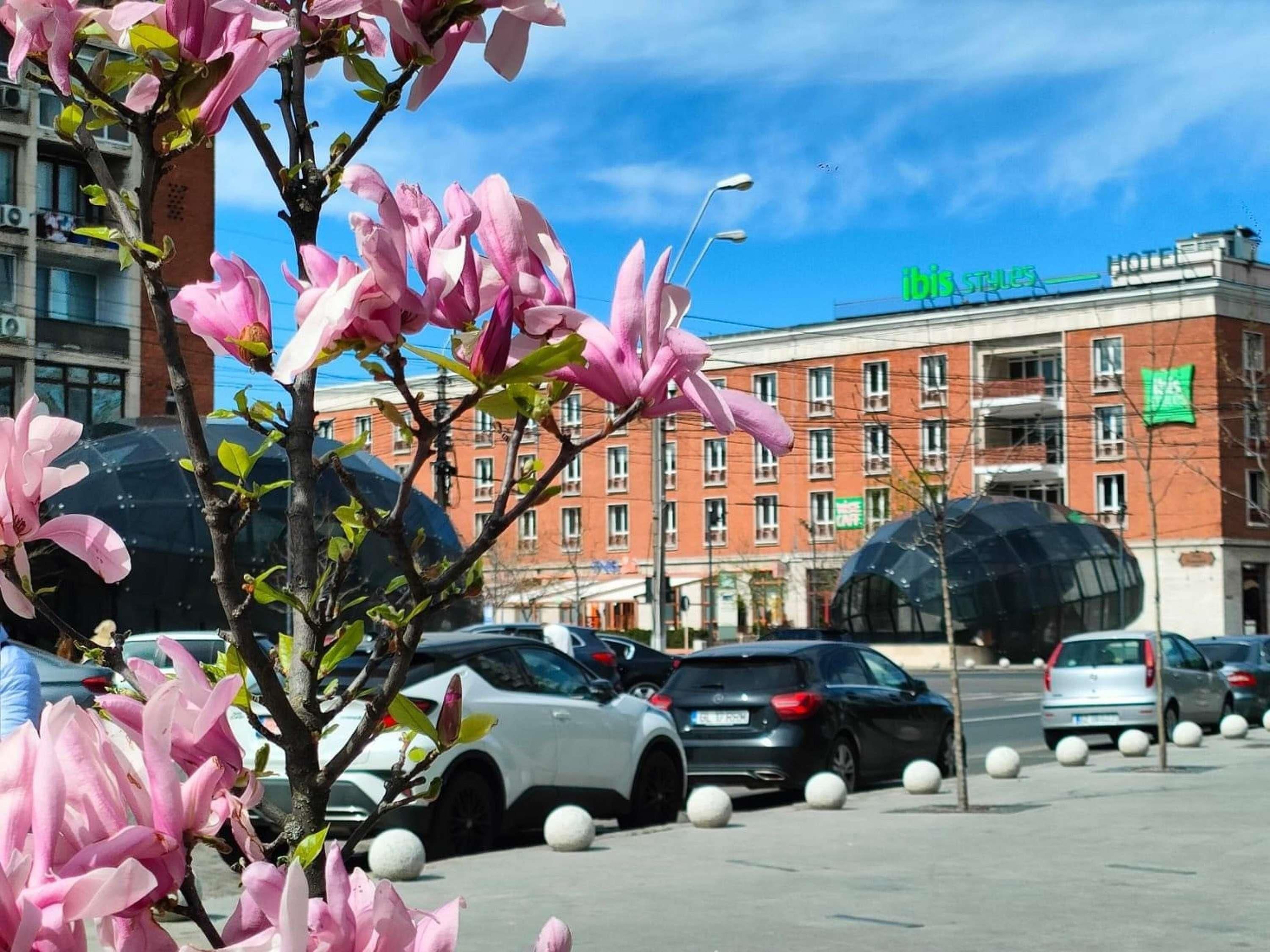 A parking lot with cars and a building with a green sign that reads 'ibis styles.'