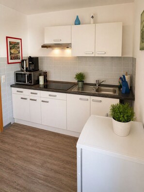 Classic Apartment, 3 Bedrooms, Balcony, Park View | Private kitchen